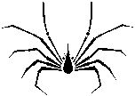 pavouk.jpg, 4 kB